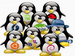 Курс ОС Linux